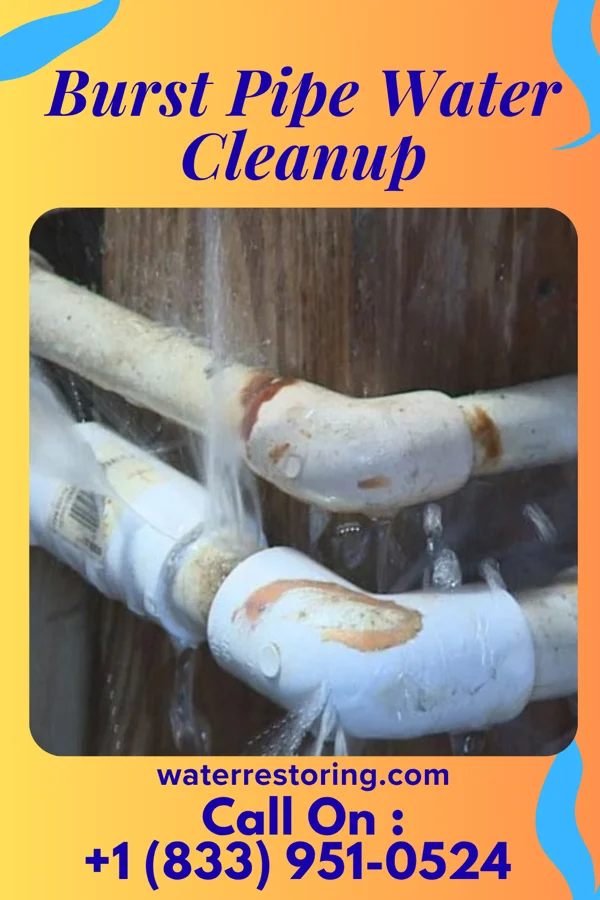 Burst Pipe Water Cleanup in Rolla, KS